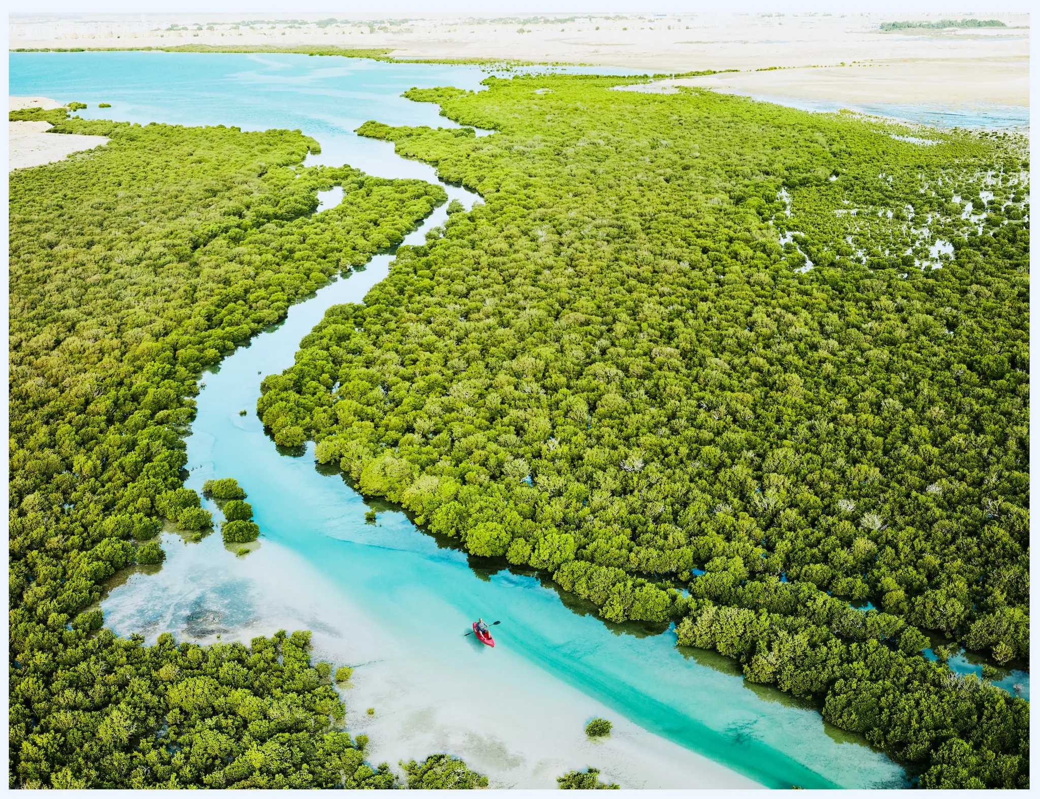 Al Thakira Mangroves – Kayaking Tour
