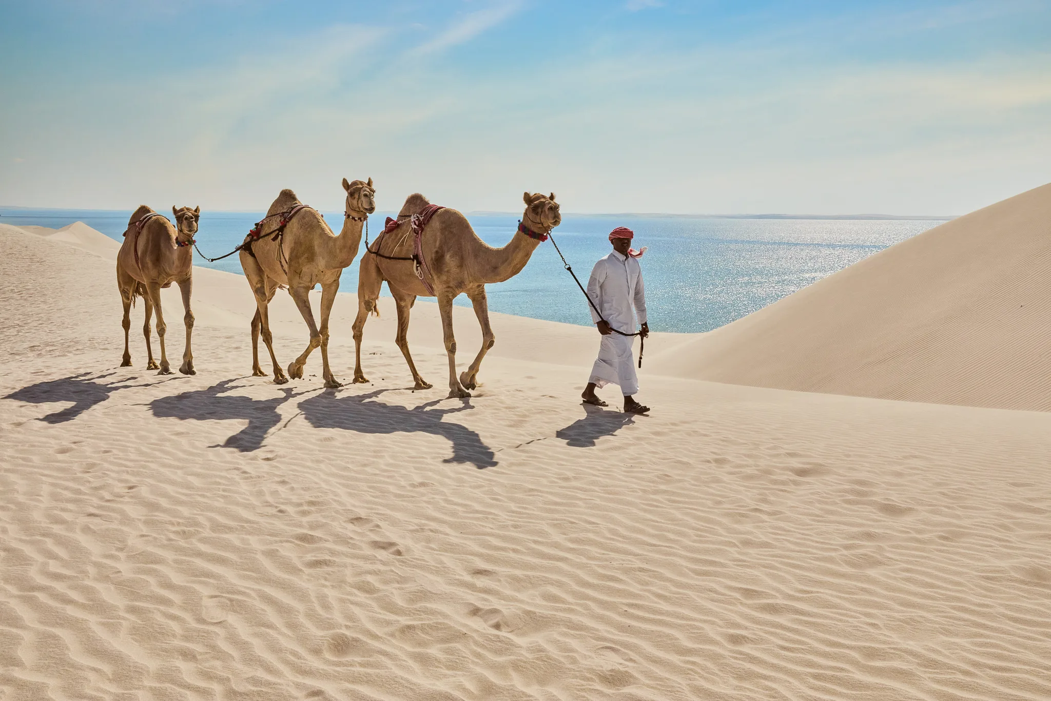 Qatar Inland Sea – Half-Day Desert Safari
