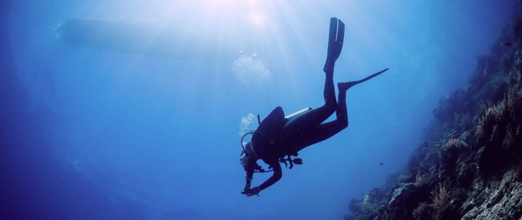 Sealine Diving Experience