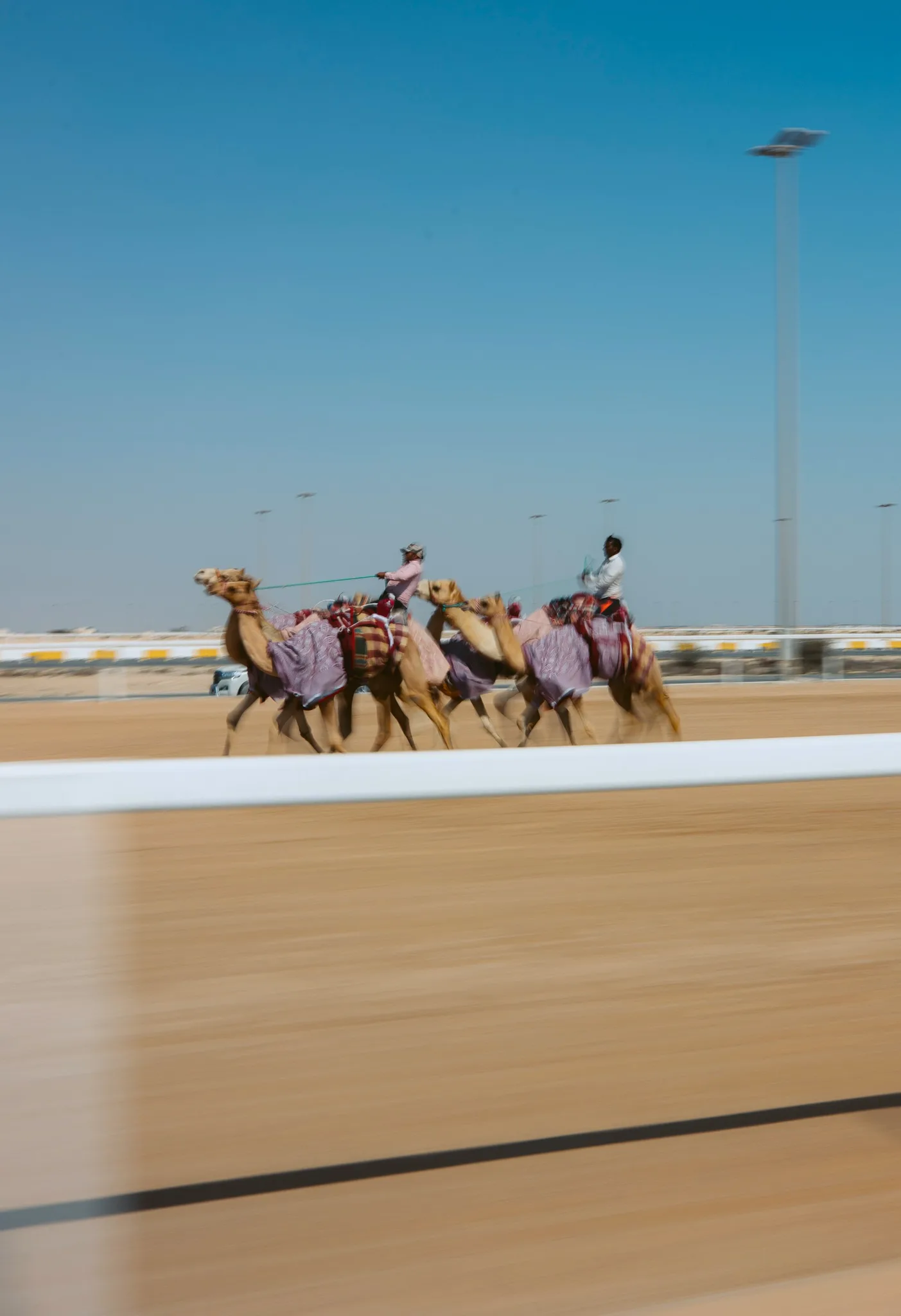 Al Shahaniya – Camel Racing & Cultural Tour